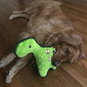 Meet your Posher, Celeste